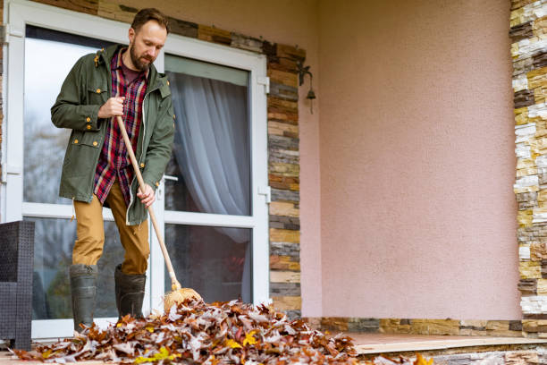 Best Junk Removal Near Me  in Keyser, WV